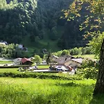 Fleisch St. Gallenkirch